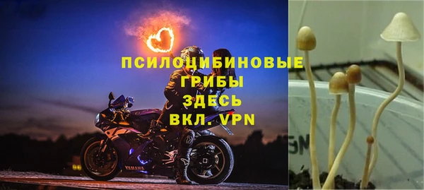 соль курить ск Верхний Тагил