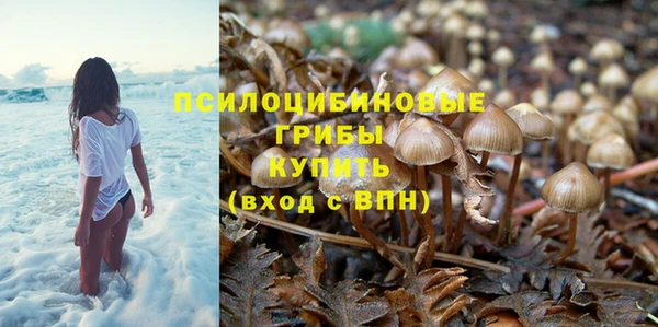соль курить ск Верхний Тагил