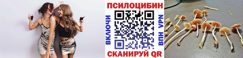 Галлюциногенные грибы Psilocybe  мега зеркало  Братск 