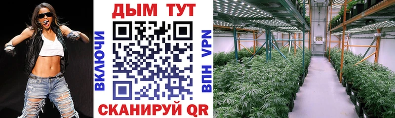 Бошки Шишки гибрид  Братск 